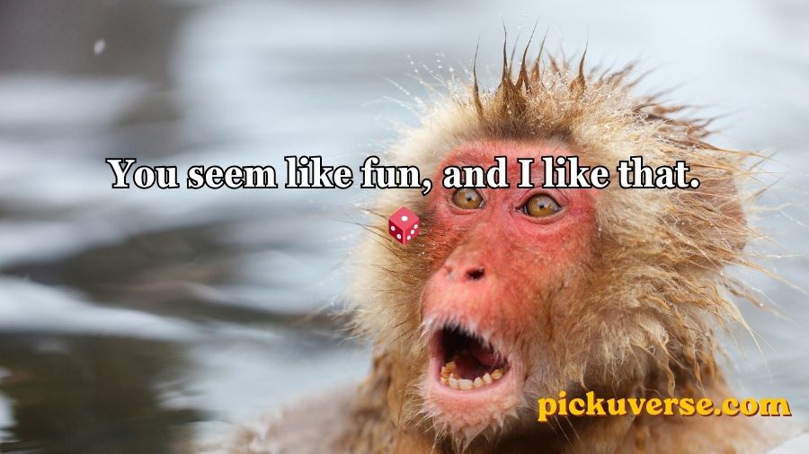 Rizz Monkey GIF Pick Up Lines