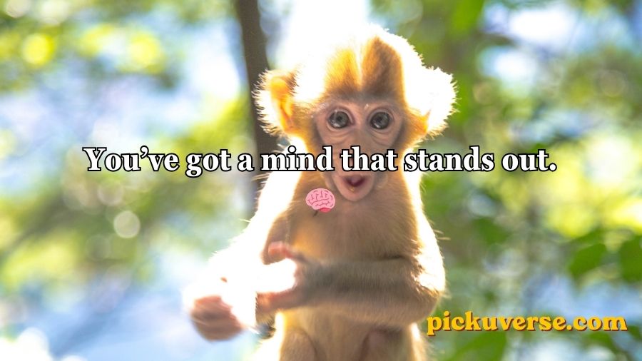 Rizz Monkey GIF Pick Up Lines