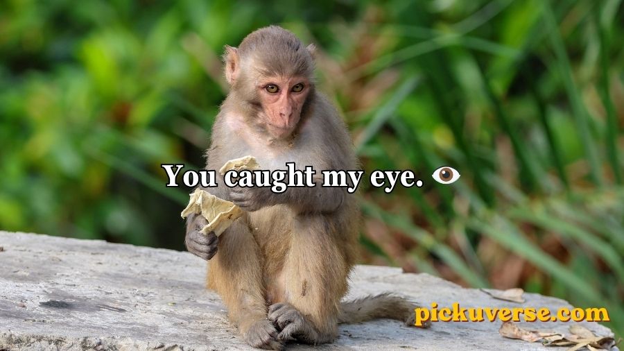 Rizz Monkey GIF Pick Up Lines