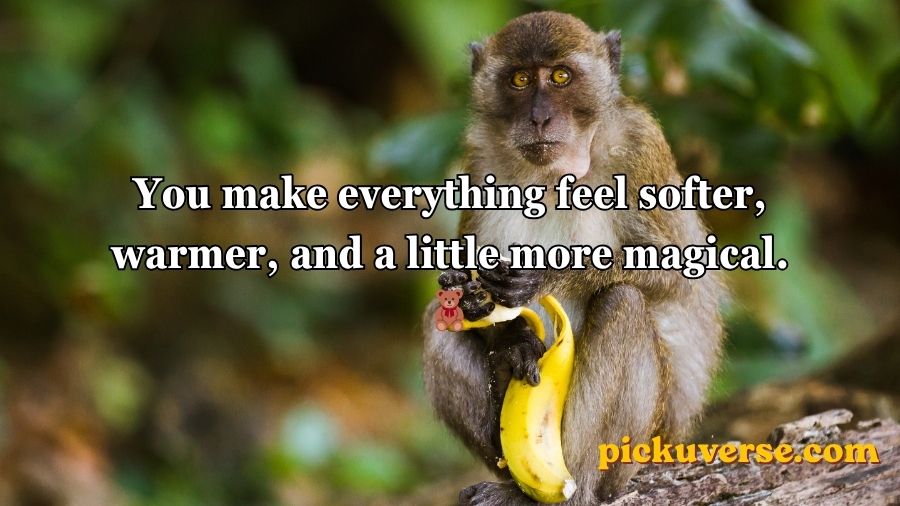 Rizz Monkey GIF Pick Up Lines
