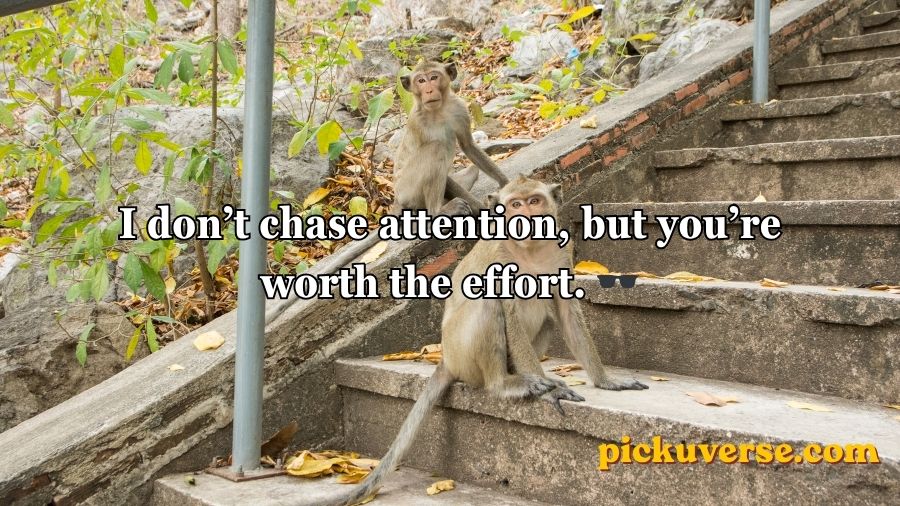 Rizz Monkey GIF Pick Up Lines
