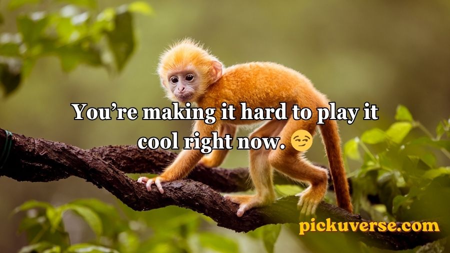 Rizz Monkey GIF Pick Up Lines