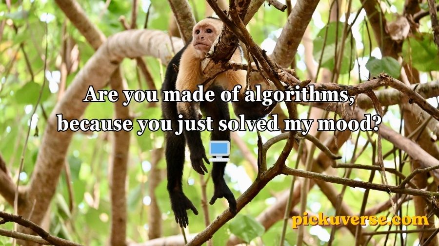 Rizz Monkey GIF Pick Up Lines