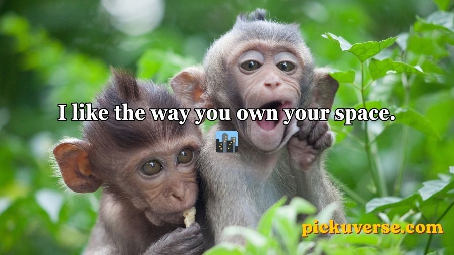 Rizz Monkey GIF Pick Up Lines