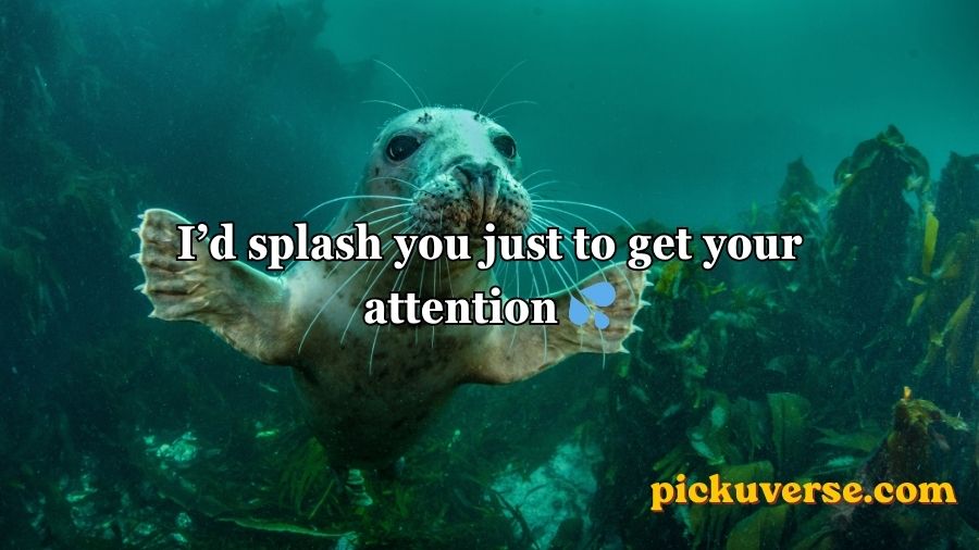 Seal Pickup Lines