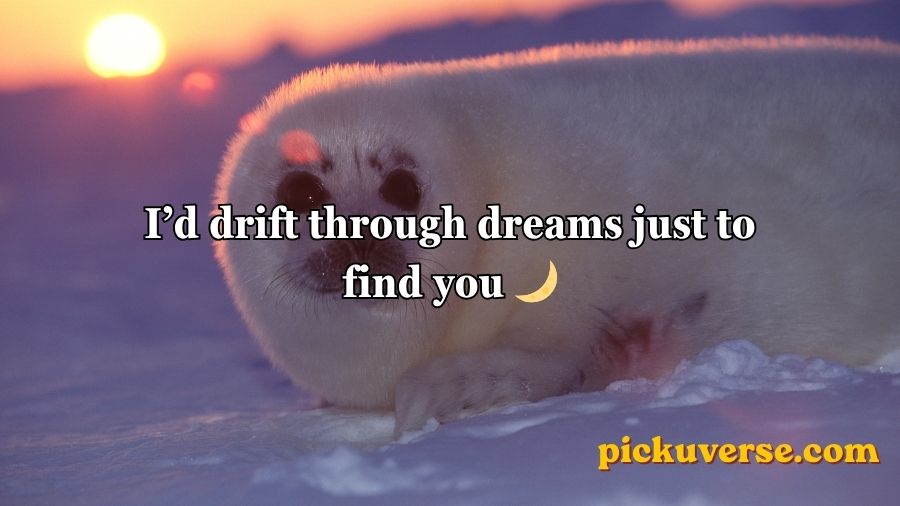 Seal Pickup Lines