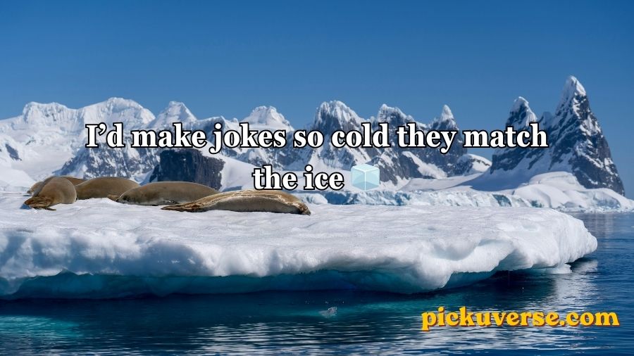 Seal Pickup Lines