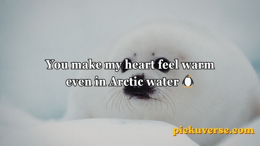 Seal Pickup Lines