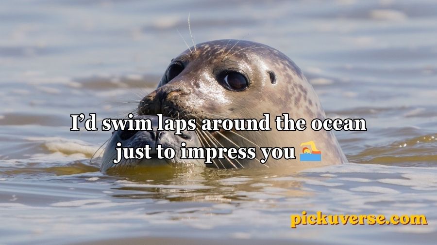 Seal Pickup Lines