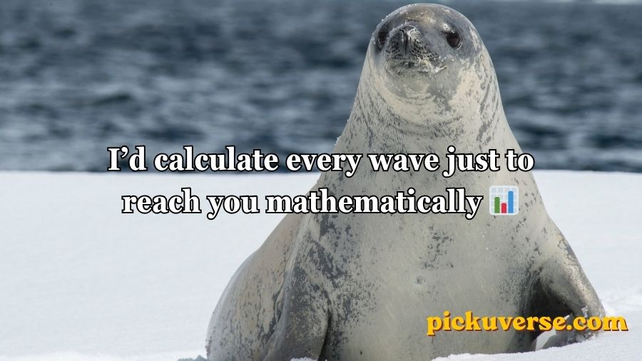 Seal Pickup Lines