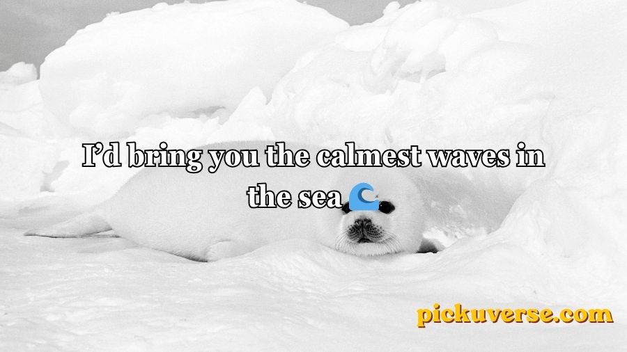 Seal Pickup Lines