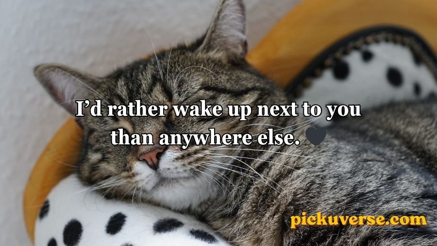 Sleep Rizz Pick Up Lines