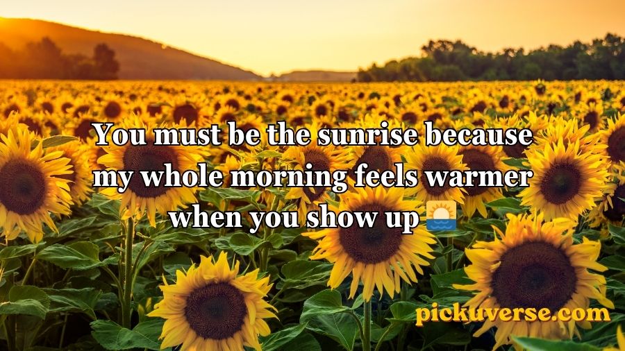 Sunflower Rizz Lines
