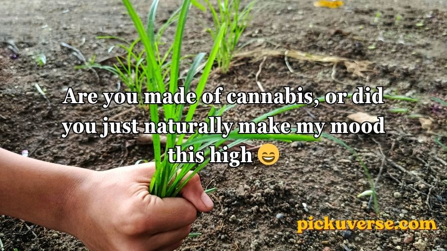 Weed Pickup Lines