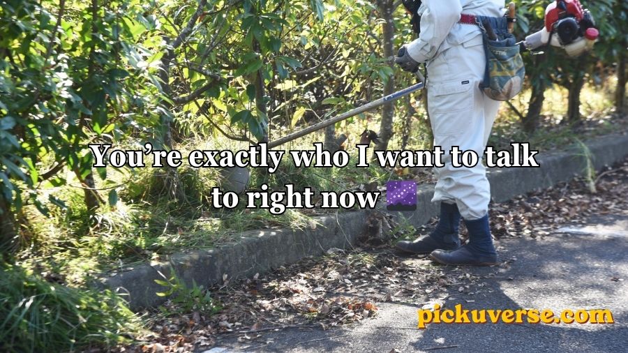 Weed Pickup Lines
