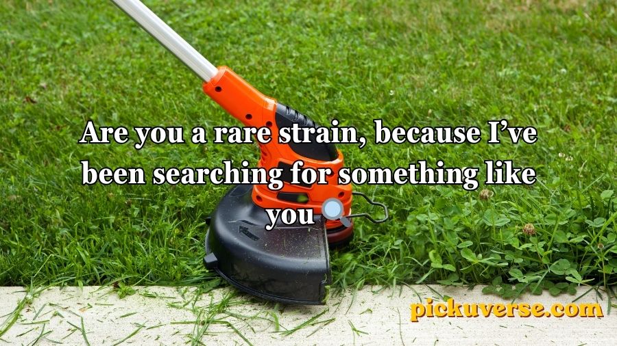 Weed Pickup Lines