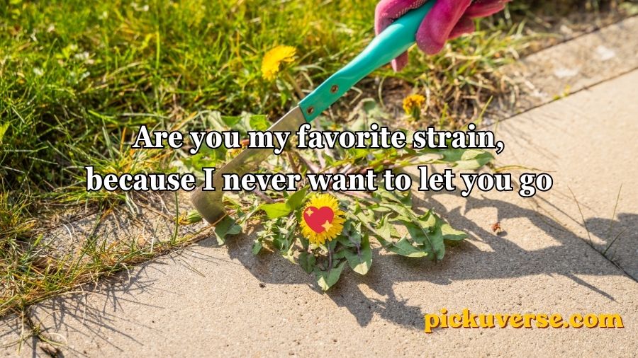 Weed Pickup Lines