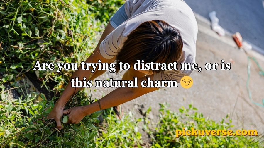 Weed Pickup Lines