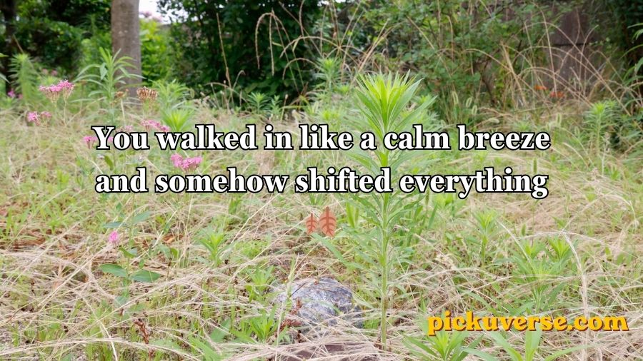 Weed Pickup Lines