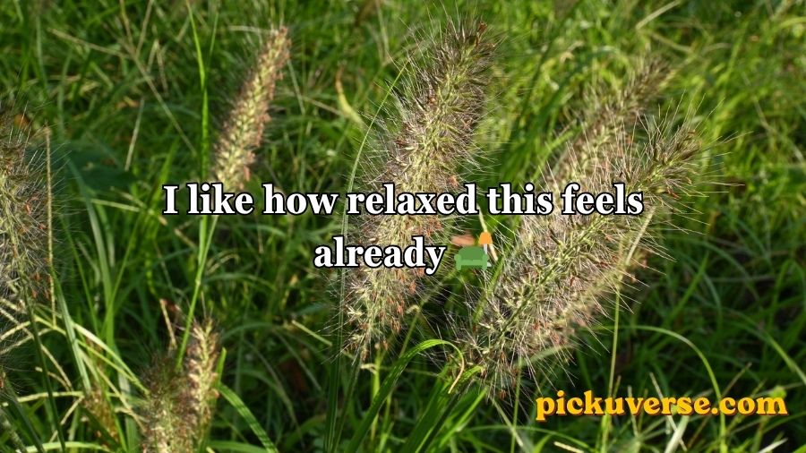 Weed Pickup Lines