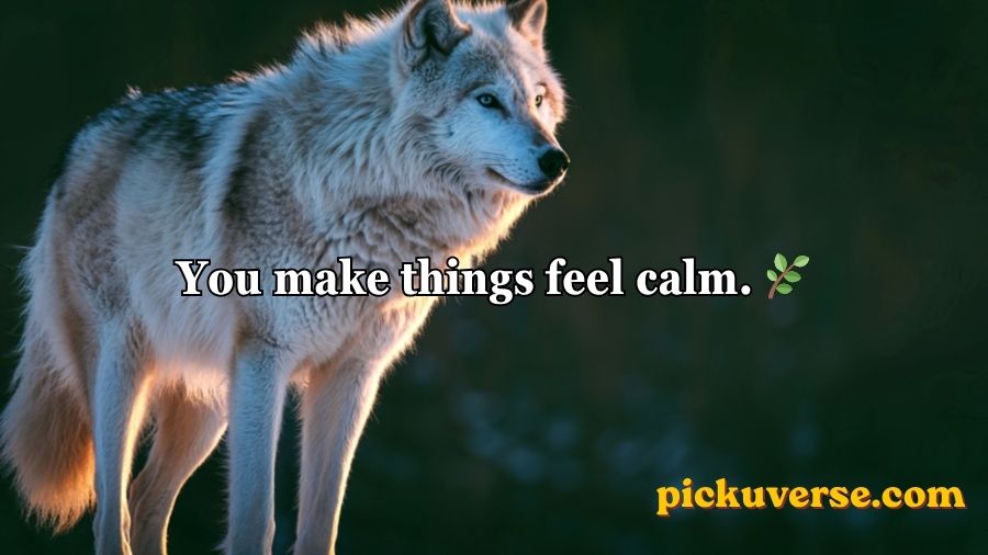 Wolf Pick Up Lines