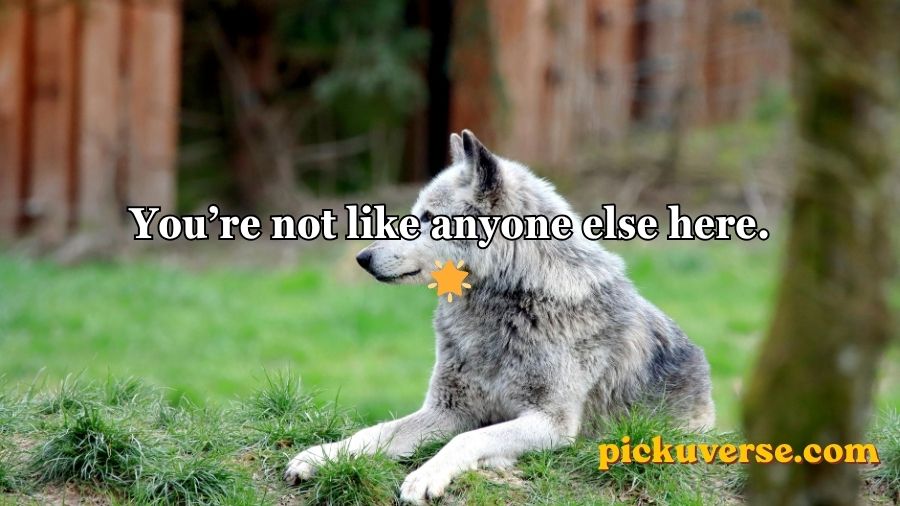 Wolf Pick Up Lines