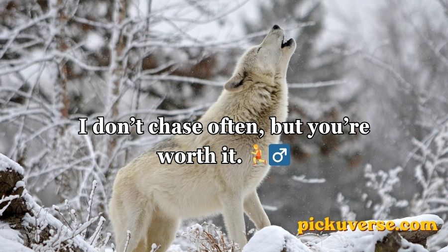 Wolf Pick Up Lines