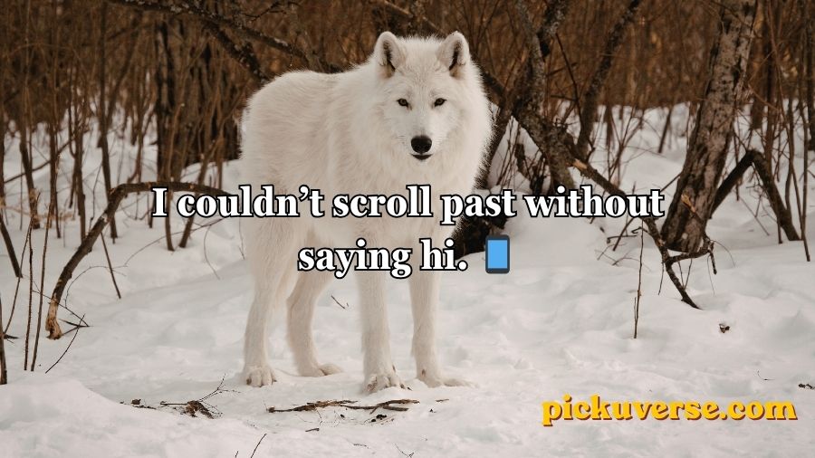 Wolf Pick Up Lines