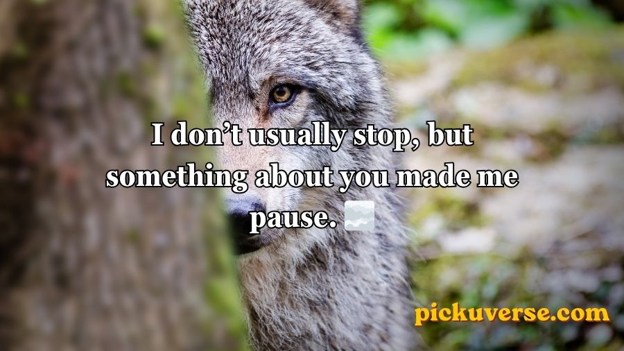 Wolf Pick Up Lines