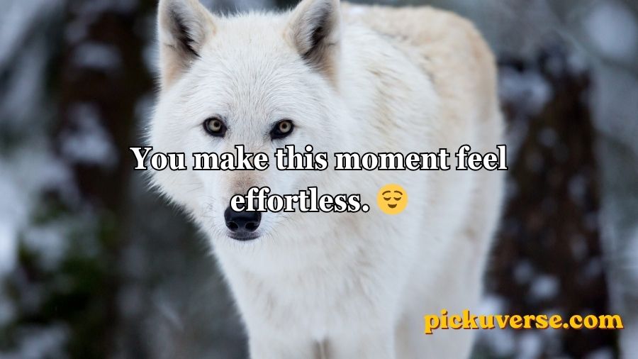 Wolf Pick Up Lines