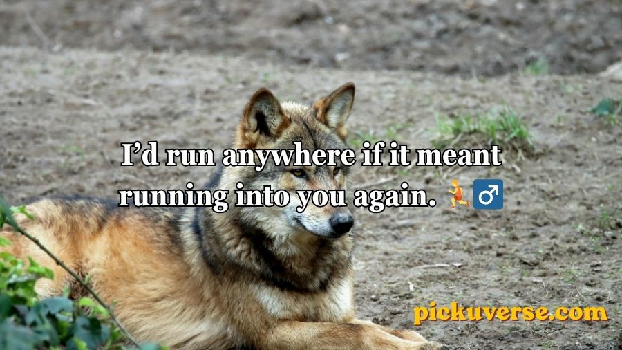 Wolf Pick Up Lines