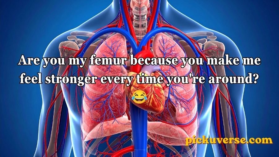 Anatomy Pick Up Lines
