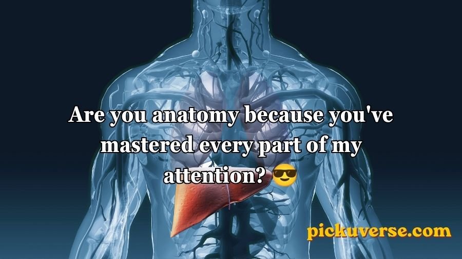 Anatomy Pick Up Lines
