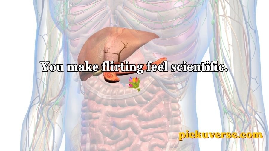 Anatomy Pick Up Lines