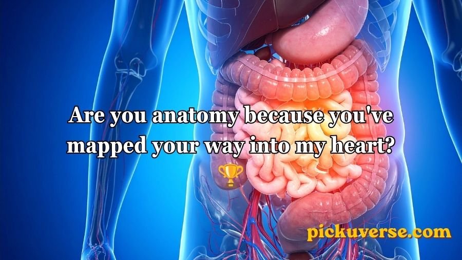 Anatomy Pick Up Lines