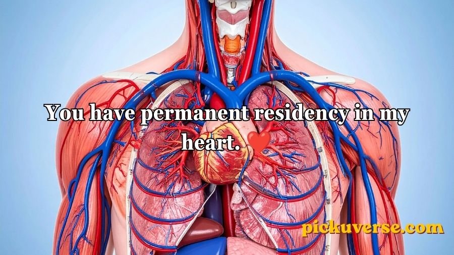 Anatomy Pick Up Lines