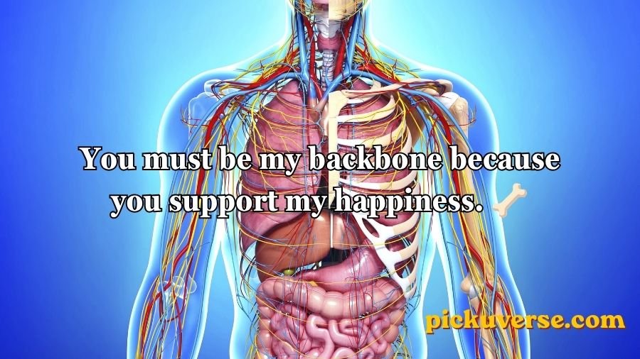 Anatomy Pick Up Lines