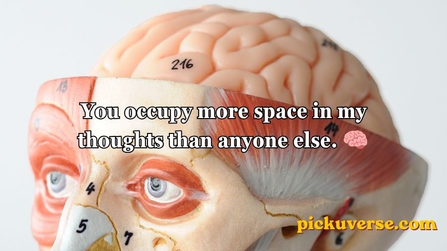 Anatomy Pick Up Lines