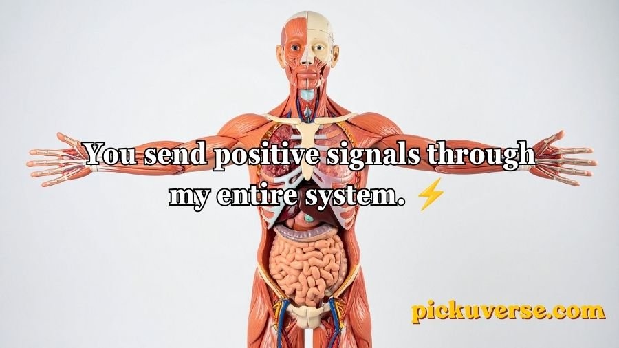 Anatomy Pick Up Lines