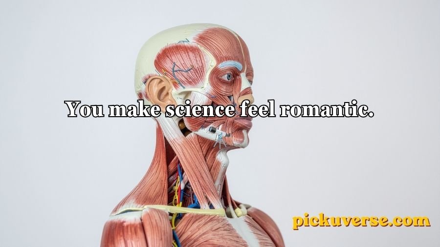 Anatomy Pick Up Lines