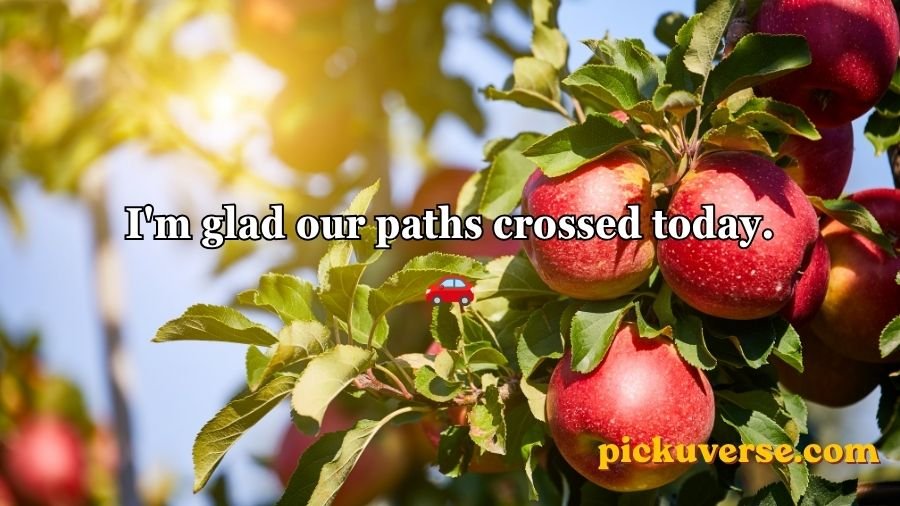 Apple Pick Up Lines