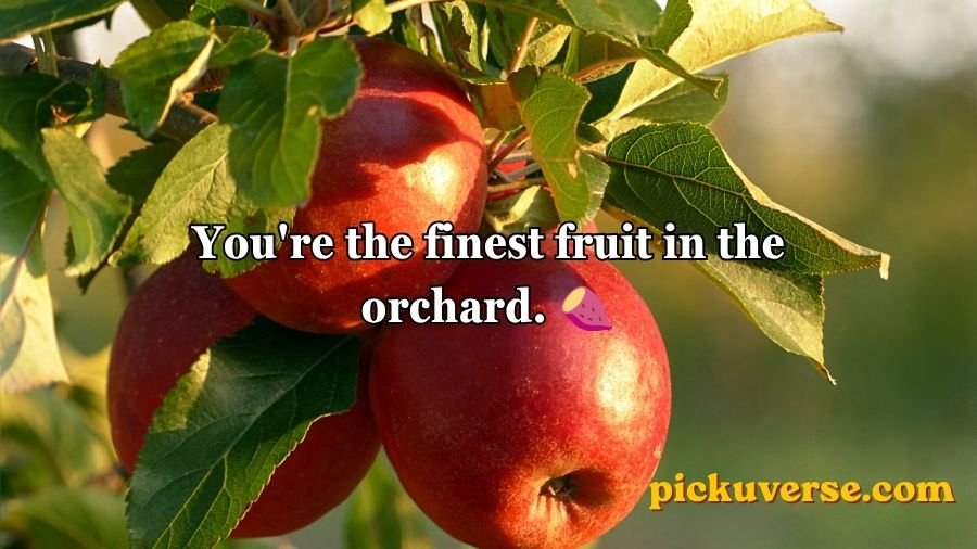Apple Pick Up Lines