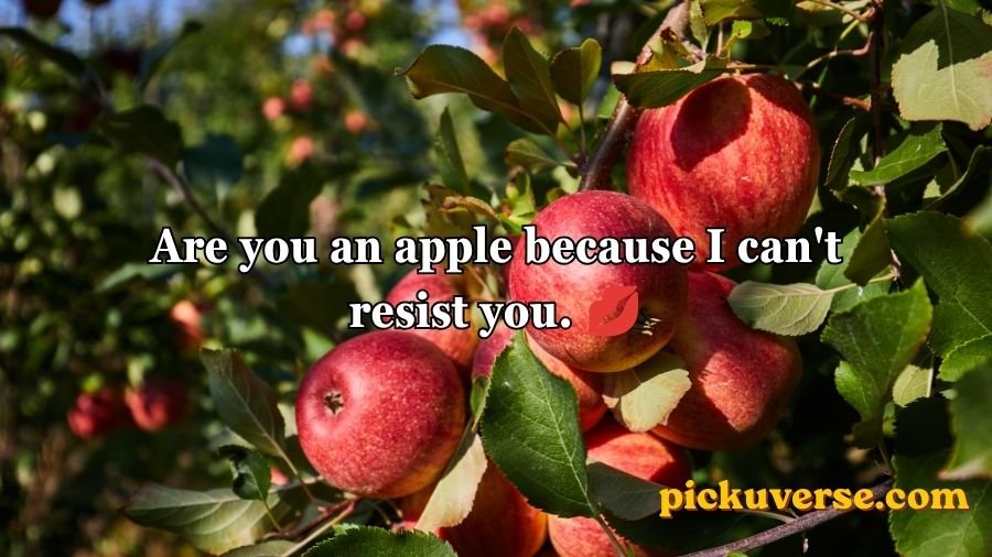 Apple Pick Up Lines