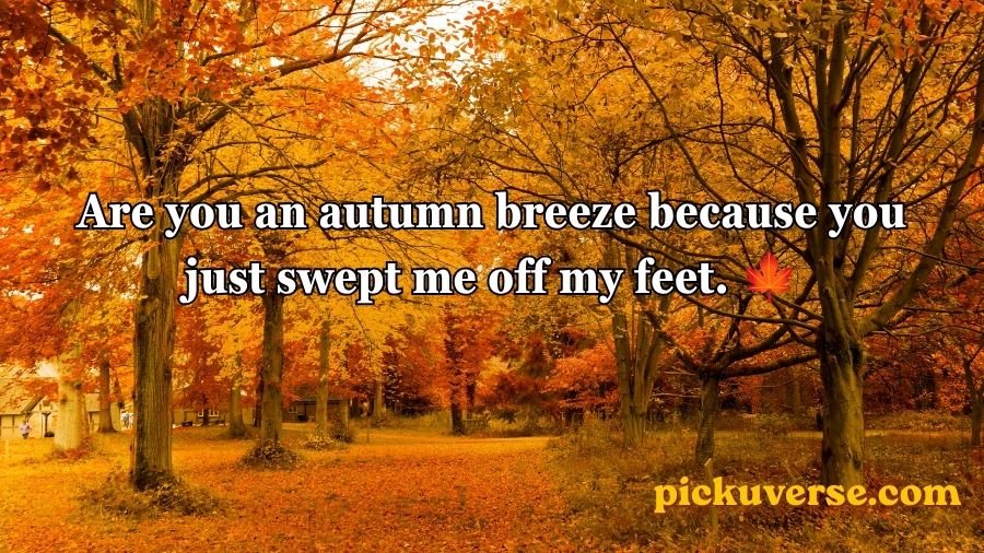 Autumn Pick Up Lines