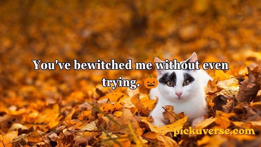 Autumn Pick Up Lines
