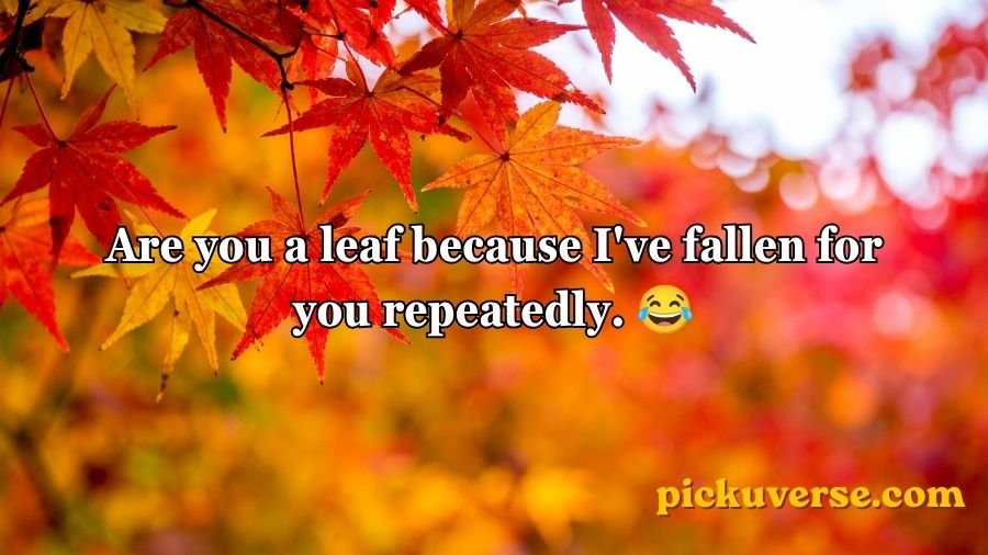 Autumn Pick Up Lines