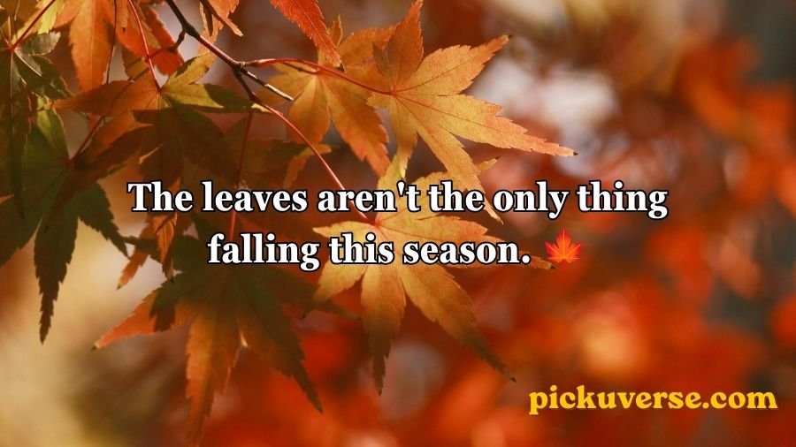 Autumn Pick Up Lines