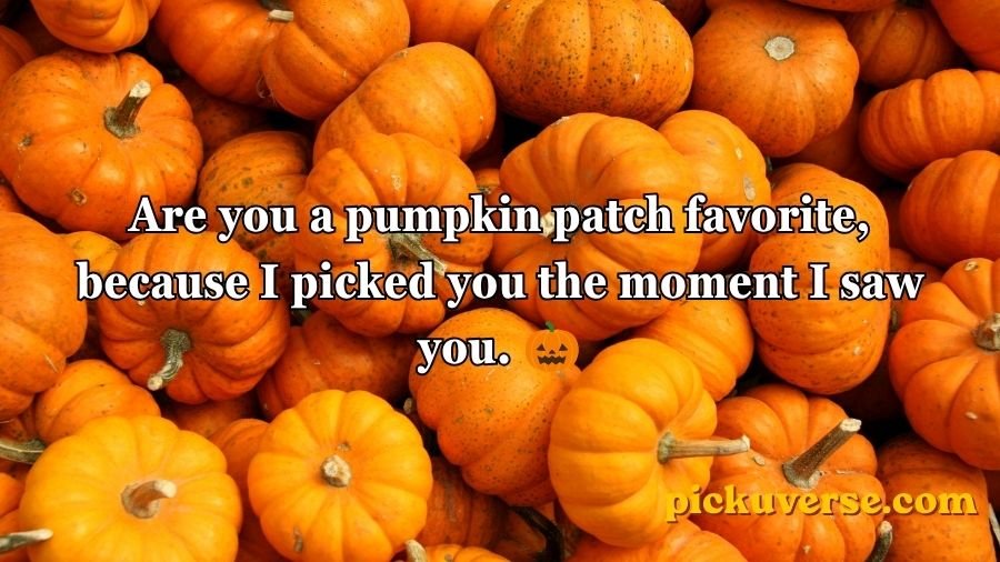 Pumpkin Pick Up Lines