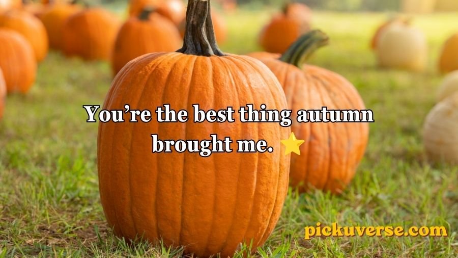 Pumpkin Pick Up Lines