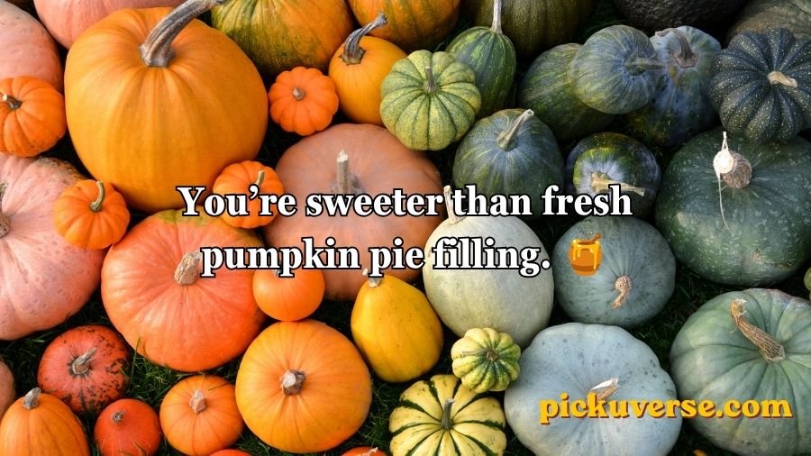 Pumpkin Pick Up Lines